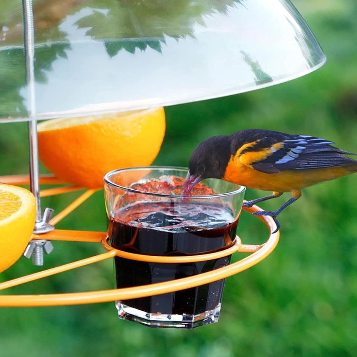 Transparent Bird Feeder Protective Dome Cover with Hook, Acrylic Hanging Bird Feeders for Outdoor Use image number 5