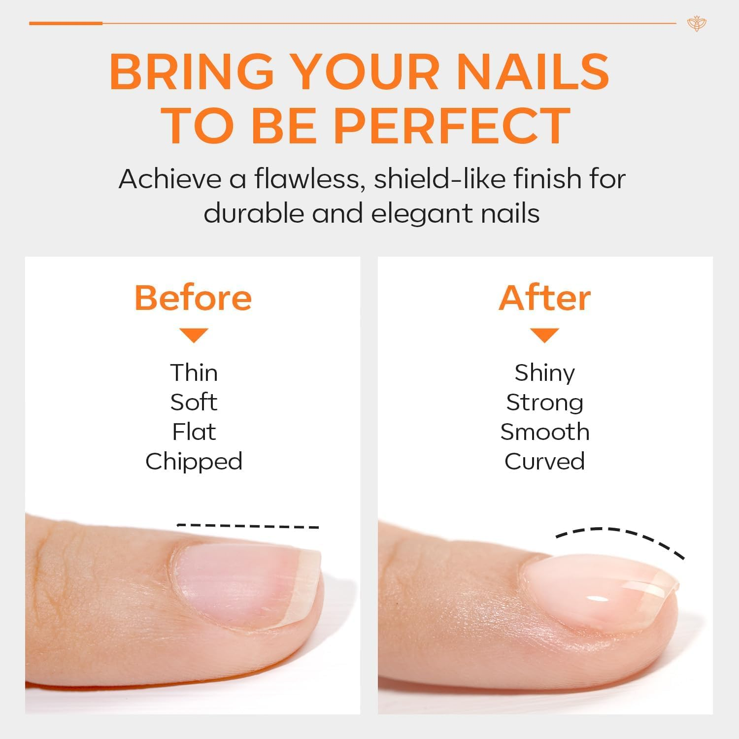 Modelones Builder Nail Gel with Gel Top Coat, 8-In-One Clear Gel Builder Acid Free Top Coat for Nail Thickening Apex Building Nail Extension Shine Finish and Long Lasting, LED Nail Lamp Cured 10Ml image number 2