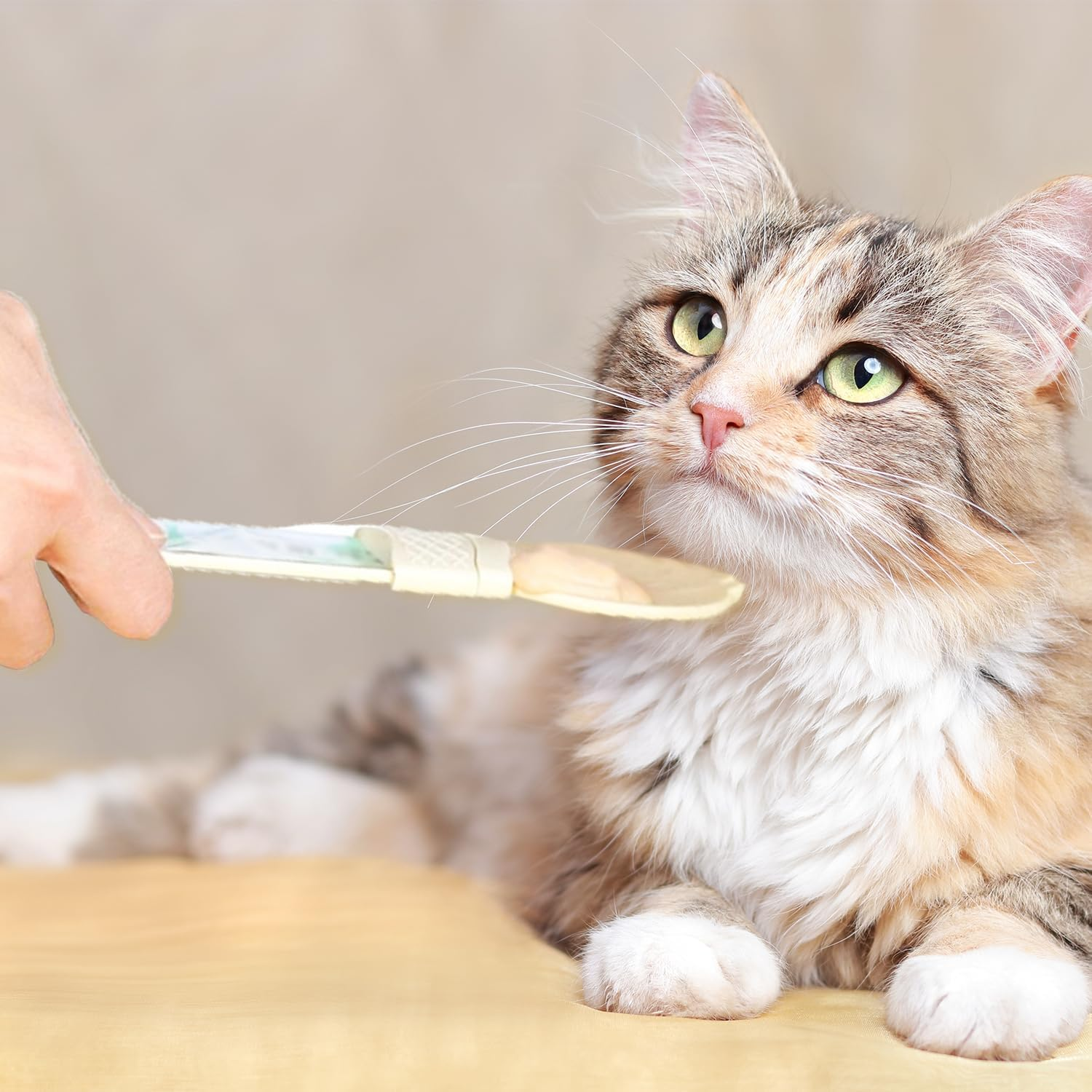 UTXN 2 Pcs Cat Treat Spoon Cat Strip Squeeze Spoon Cat Treat Feeding Spoon Cat Strip Squeeze Feeder Happy Spoon for Cat Treats Cat Treat Spoon for Wet Food(Yellow/Green) image number 1