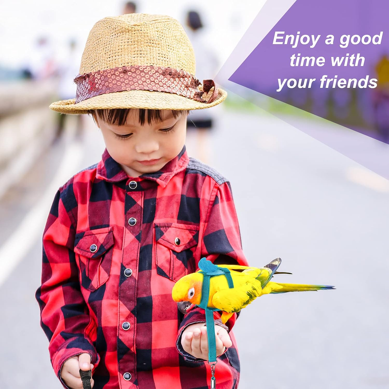 4 Pieces Pet Parrot Bird Harness Leash Adjustable Bird Flying Harness Traction Rope with Cute Wing for Parrots Pigeons Budgerigar Lovebird Outdoor Training Toy (Pink, Yellow, Light Purple, Cyan,S) image number 2