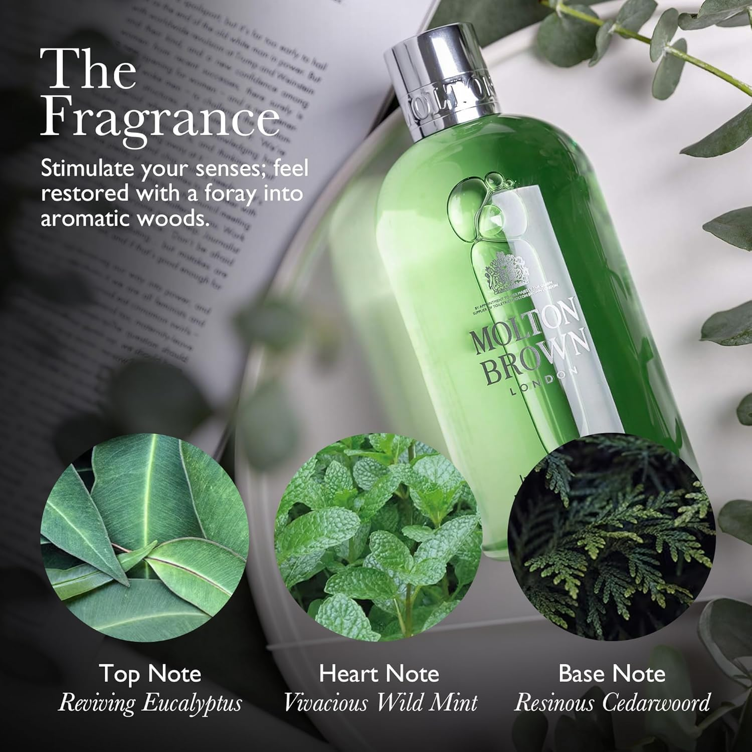 Bath and Shower Gel - Infusing Eucalyptus by Molton Brown for Men - 10 Oz Shower Gel