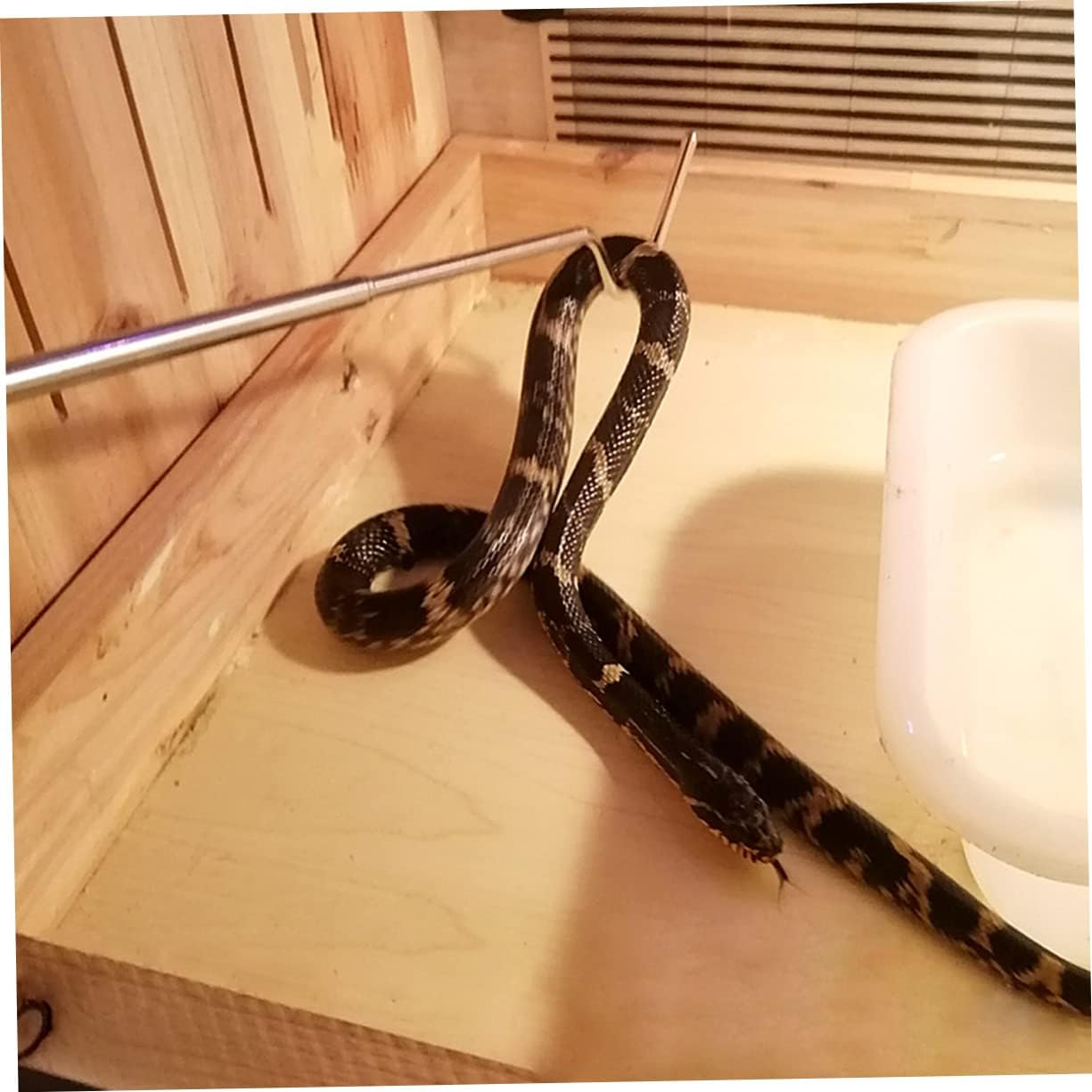 Levemolo Snake Tool Snake Enclosure Collapsible Snake Hook Gripper Misting Terrarium Reptile Bendable Reptile Decor Extensible Snake Hook Telescoping Pole with Hook Rat Cage Picker Silver