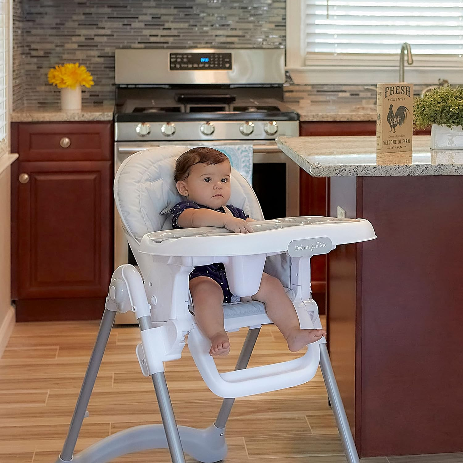 Dream on Me Solid Times High Chair for Babies and Toddlers in Grey, Multiple Recline and Height Positions, Lightweight Portable Baby High Chair, 5 Point Safety Harness, Easy to Clean Surface image number 2