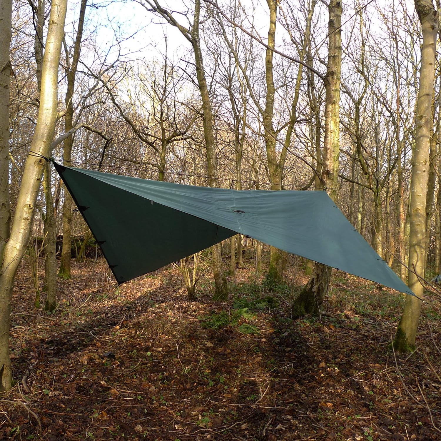 DD Hammocks Tarp 3.5 X 3.5 - Olive Green (11.5Ft X 11.5Ft) - 100% Waterproof - Lightweight & Multifunctional Large Rainfly Tarp Tent Shelter for Camping Bushcraft & Survival Adventure image number 2