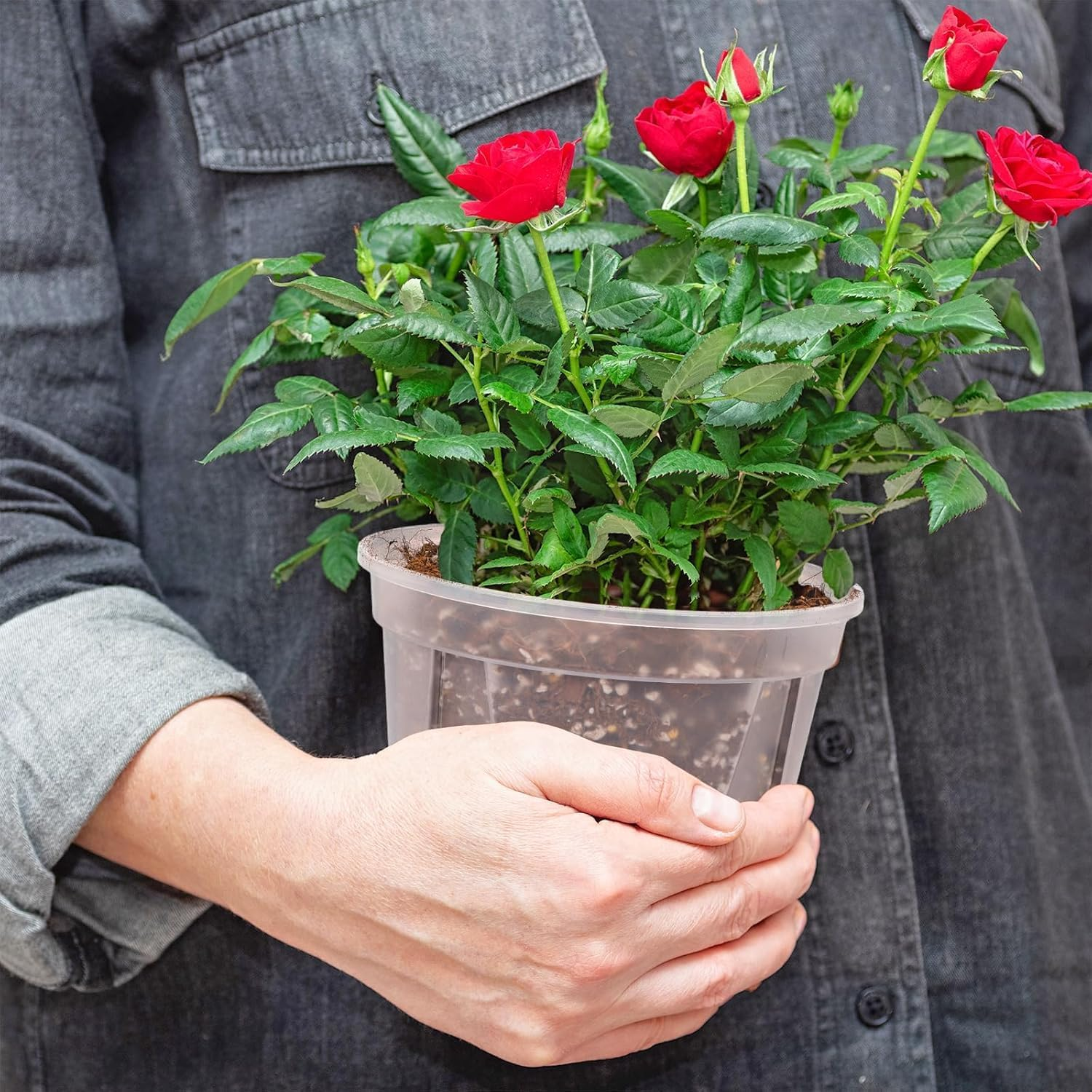 5Pcs Clear Plastic Orchid Pots with Holes and Saucers for Plants, Transparent Functional Planters for Optimal Drainage and Growth, 12Cm image number 1