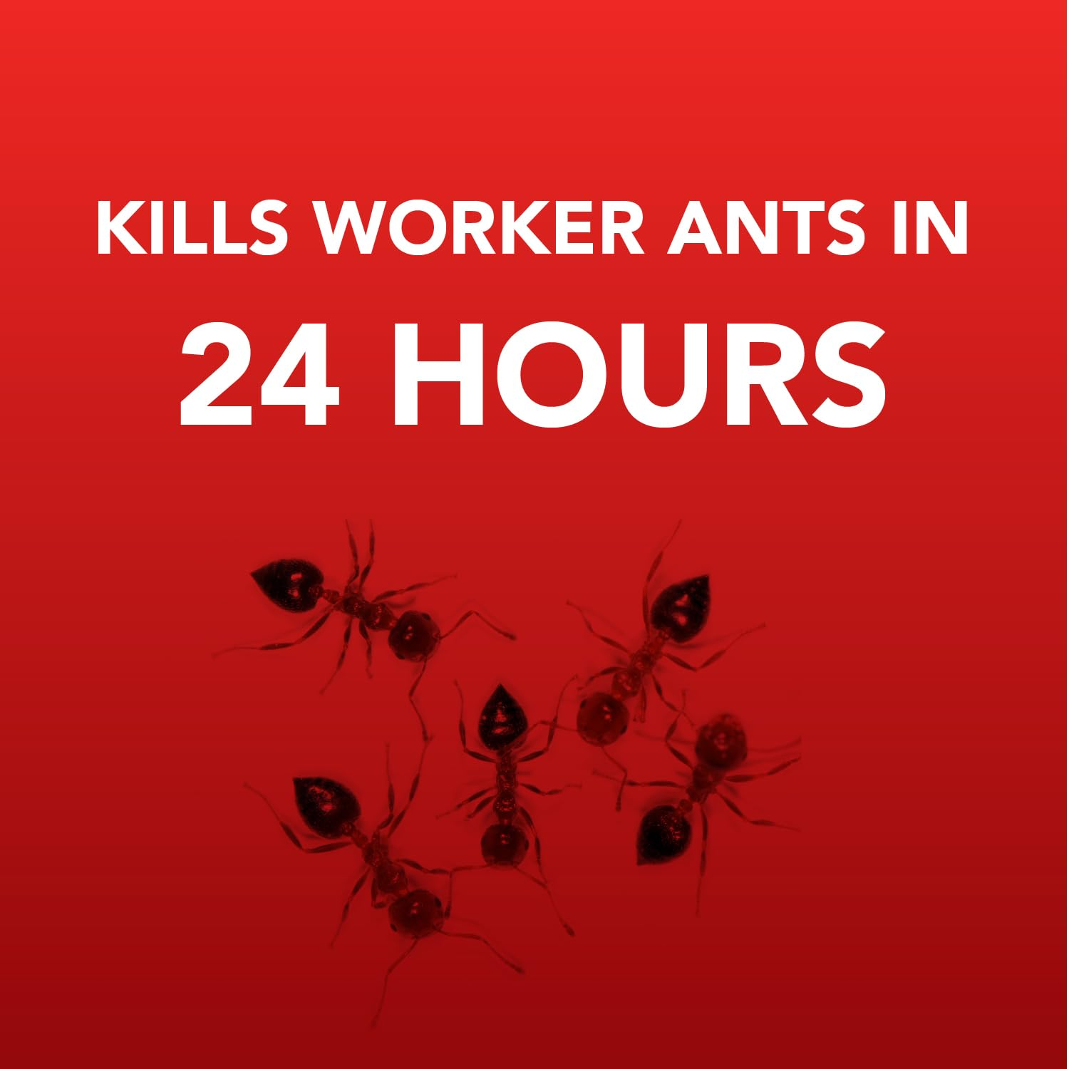 Ortho Home Defense 4PK Metal Outdoor/Indoor Bait Stations image number 1