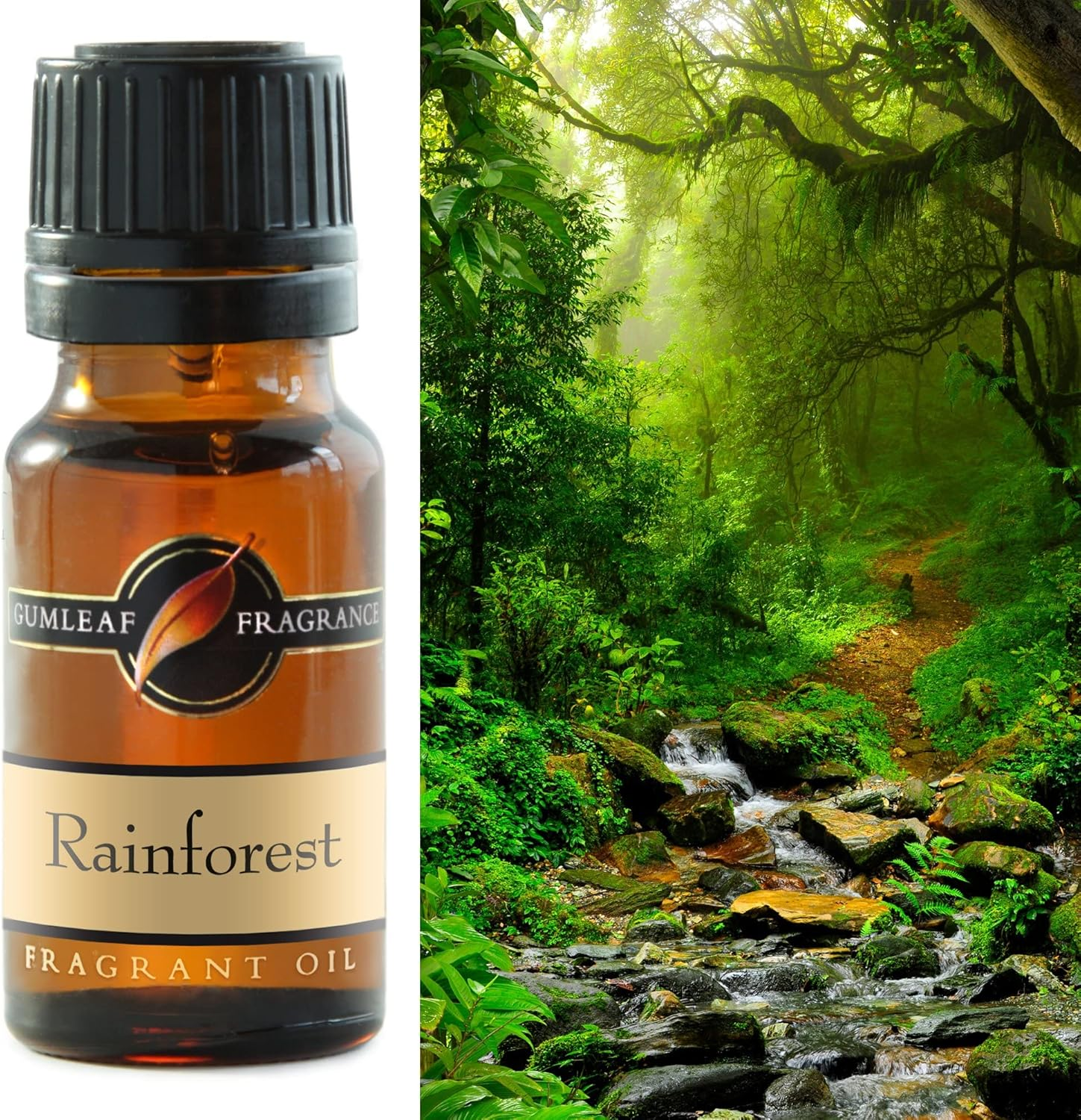 Gumleaf Fragrance Rainforest Fragrant Oil - 10Ml, Cruelty Free & Vegan, Phthalate-Free Fragrance image number 2