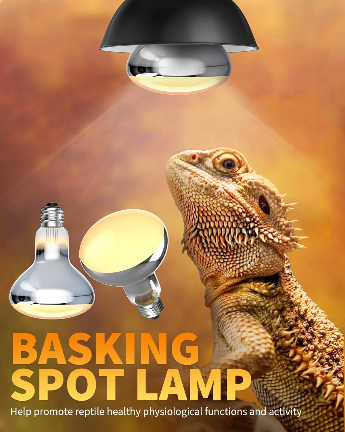 E27 UVB Reptile Heat Bulb 160W R95 Heat Lamp AC220-240V for Reptiles Amphibians, Bearded Dragons, Geckos, Snakes, Turtles, Tortoises, Lizards, Frogs, Spiders, Small Mammals (Pack of 1) image number 4