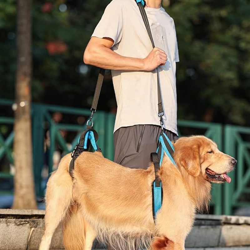 Pet Dog Carry Sling Pet Legs Support Rehabilitation Lift Harness for Disabled Injured Elderly Dog Joint Injuries Arthritis Blue (S) image number 5