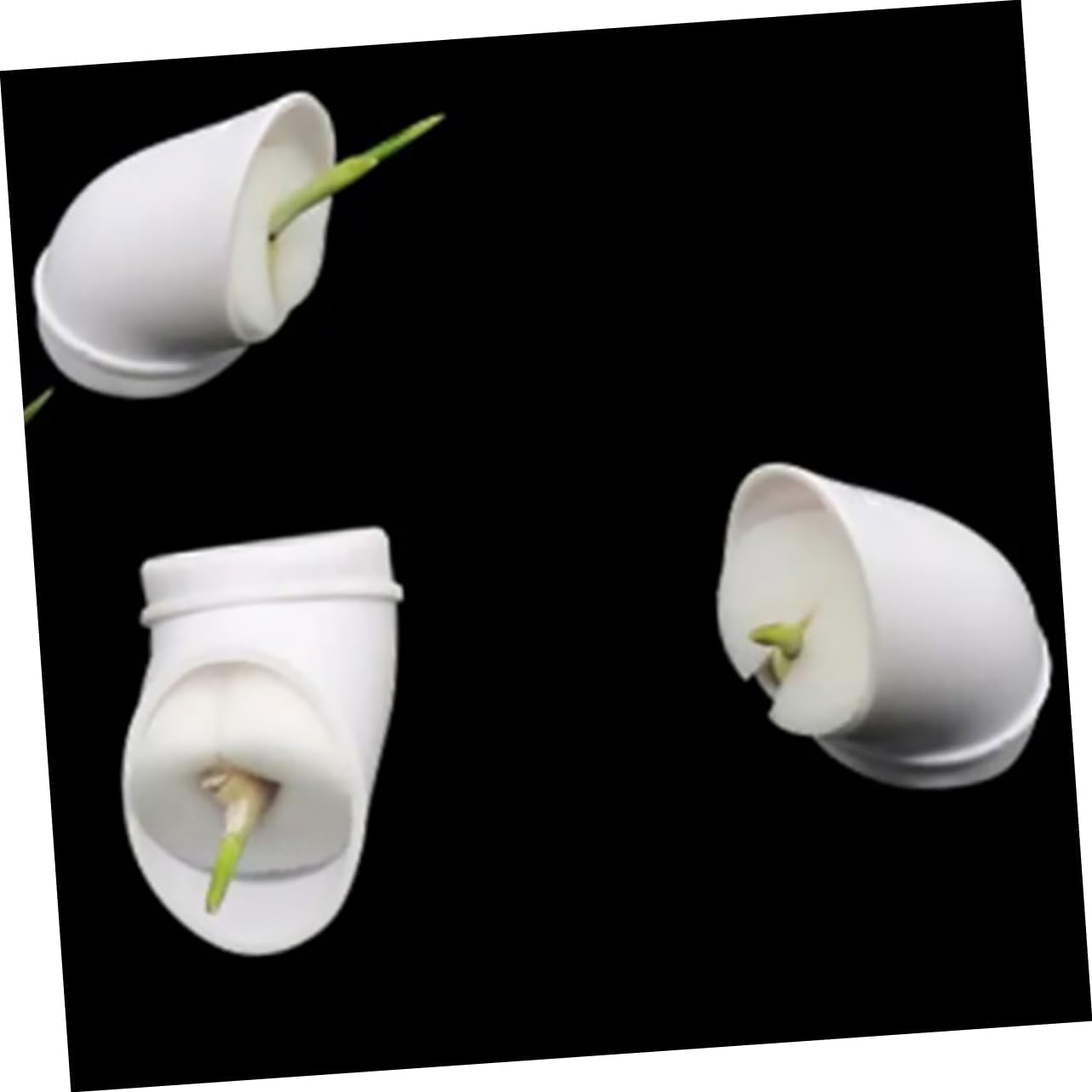 GAROZATION 10Pcs Hydroponic Tower Nursery Cups Mesh Plastic Planting Cups for Indoor and Outdoor Soil-Free Gardening with 38Mm Hole Diameter Suitable for Seedlings and Small Orchids image number 6