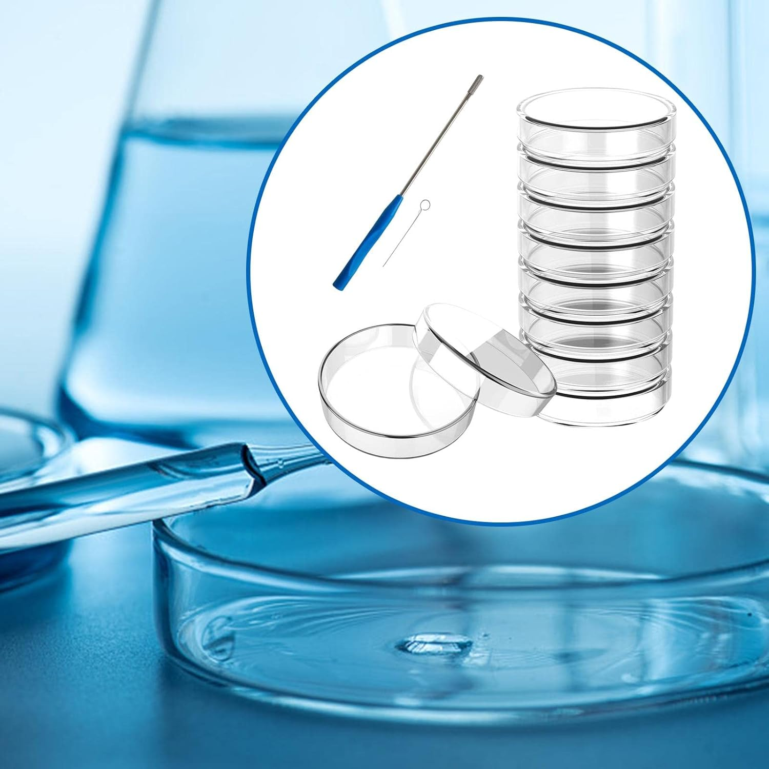 10X High Borosilicate Glass Petri Dishes with Lids Culture Dishes Easy to Observe Smooth Edge Stability Petri Plates for School Accessories, 90Mm