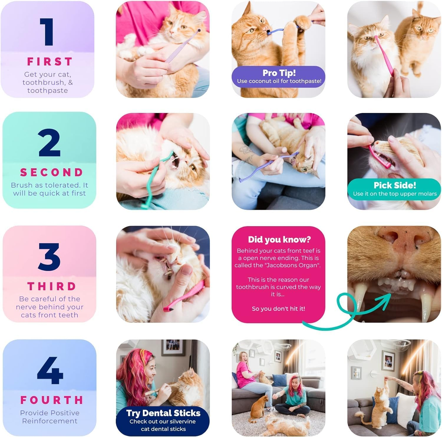 RYERCAT Set of 5 Dual-Sided Cat Toothbrushes - Kitten Toothbrush with Micro Head to Fit into Cat/Kittens Mouth - Cat Dental Care Supplies - Pet Toothbrush for Cats - Amethyst Purple  Ocean Blue image number 4