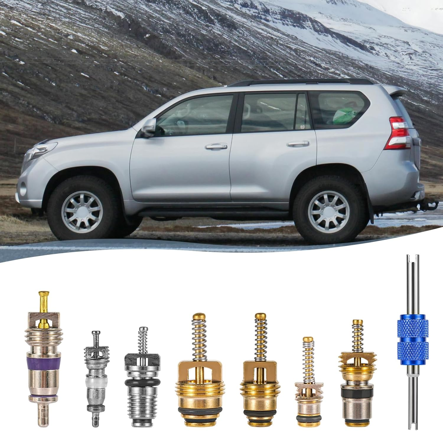 40Pcs AC Valve Core Kit, Car Air Conditioner Valve Core Accessories A/C R12 R134A Refrigeration Valve Core with Double-Head Disassembly and Installation Remover Tool AC Valve Kit for Most Cars