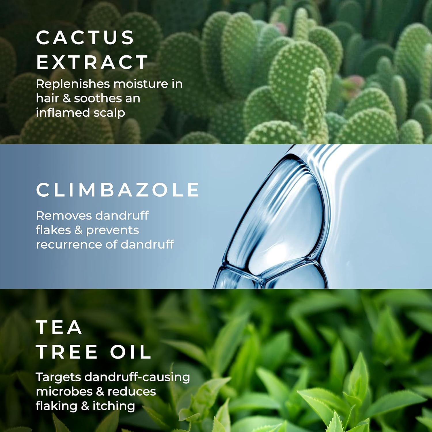 Naturali Australian Tea Tree Non-Drying Dandruff Defence Shampoo 200 Ml | Removes Dandruff from Source | Soothes Itching, Irritation | Strong & Smooth Hair | for Men & Women | No Sulphate No Paraben