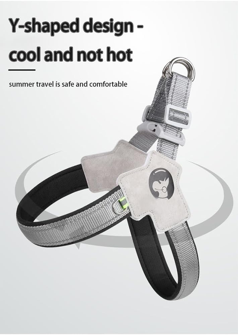 Glow-In-The-Dark Small Dog Harness and Leash Set, Reflective Nylon and Terylene Adjustable Lead for Night Safety - Red image number 3