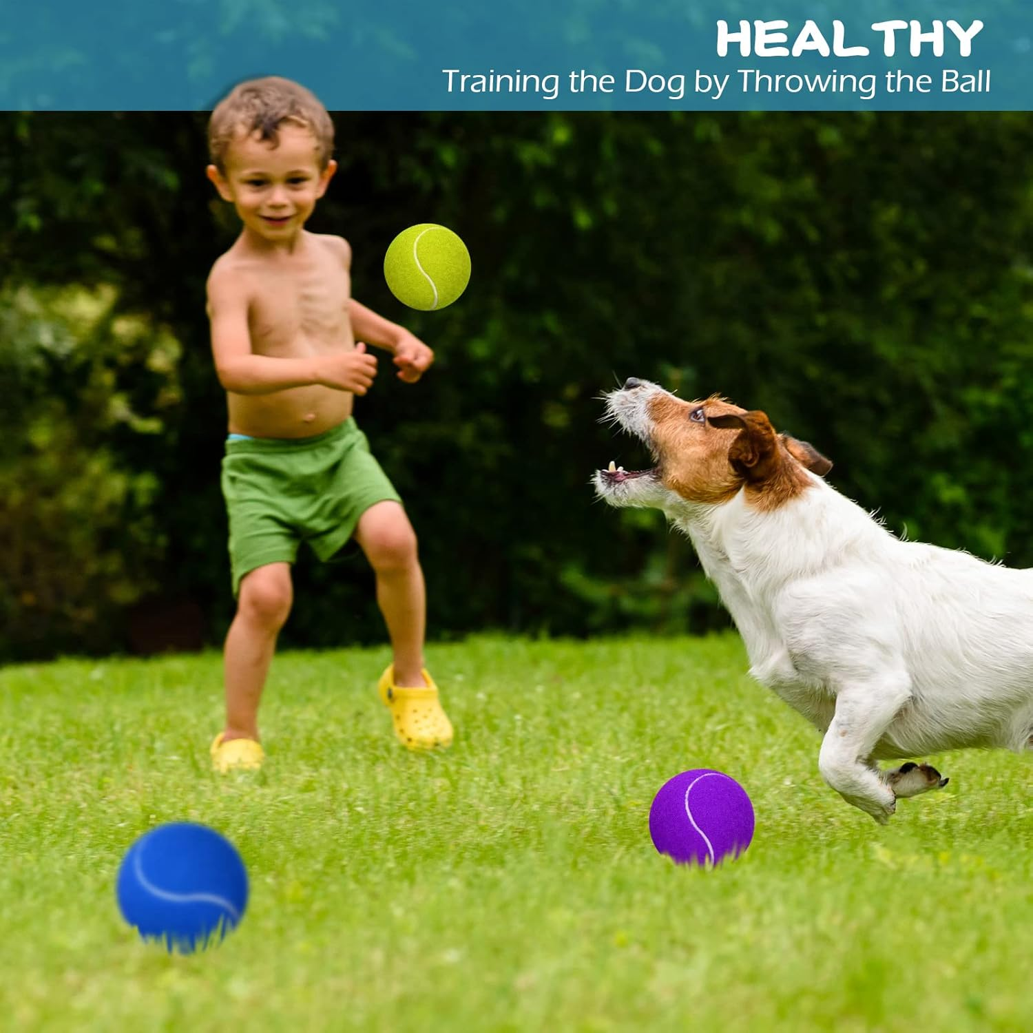 Yunsailing 24 Pack Dog Tennis Balls Pet 2.5'' Colored Mini Tennis Puppy Ball Toys for Large Medium and Small Dogs, Toy Ball for Training, Play Exercise and Fetch 8 Colors