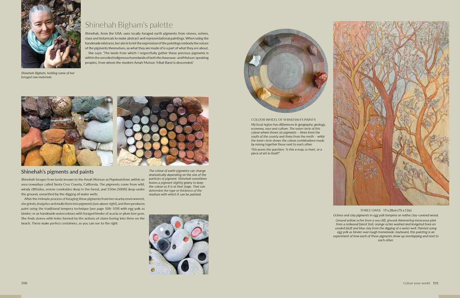 Found and Ground: a Practical Guide to Making Your Own Foraged Paints image number 6