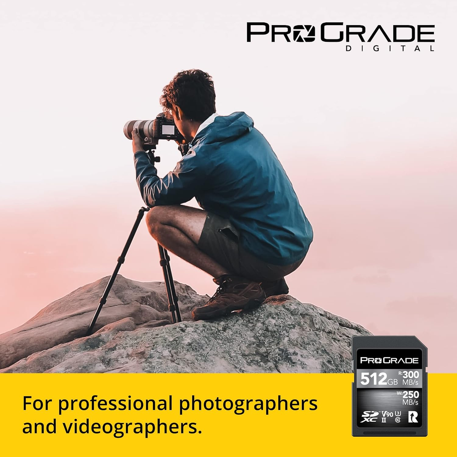 Prograde Digital SDXC UHS-II V90 300R Memory Card (512GB) image number 1