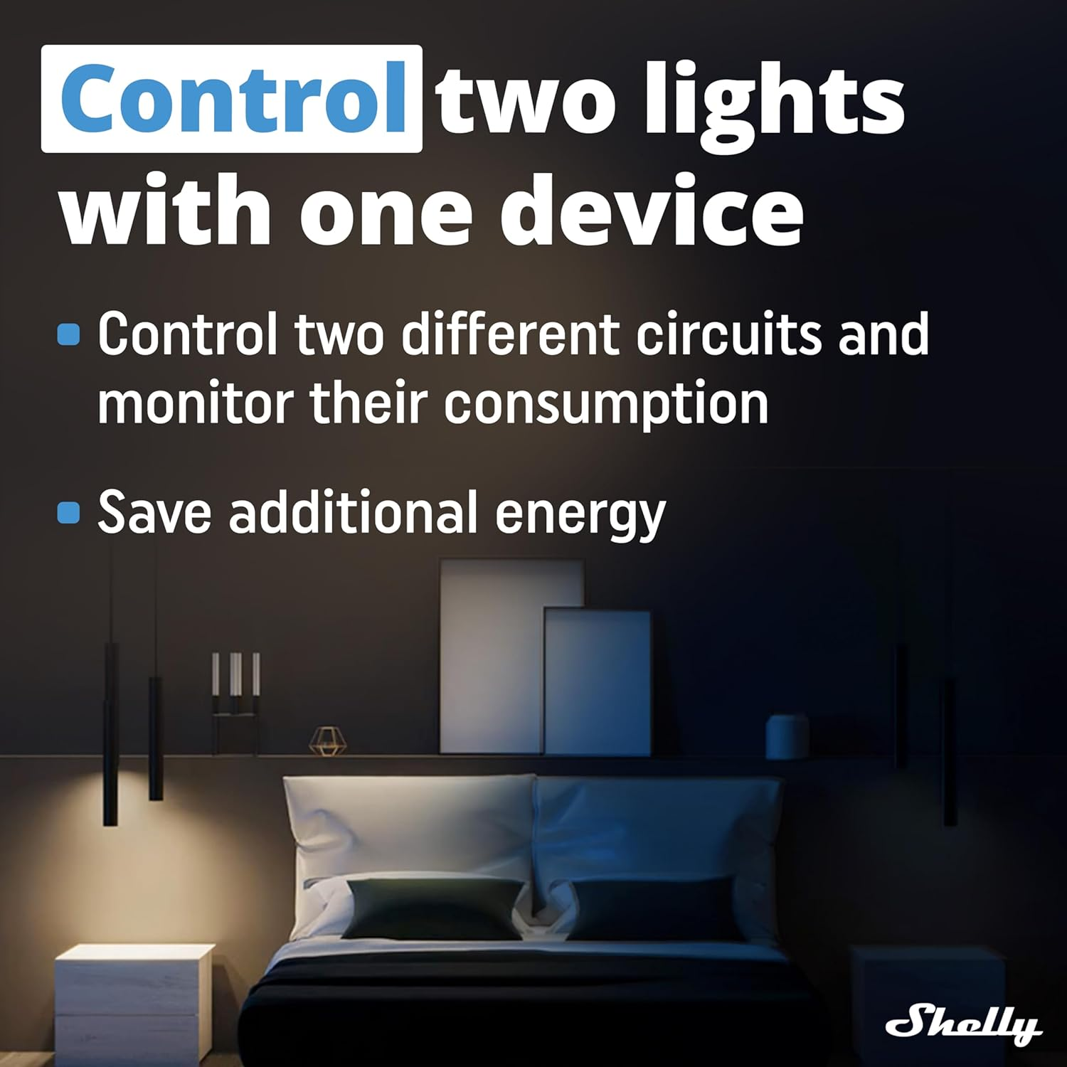 Shelly plus 2PM | Wifi & Bluetooth 2 Channels Smart Relay Switch with Power Metering | Home Automation | Roller Shutters | Remote Control | Alexa & Google Home | Ios Android App (2 Pack) image number 1