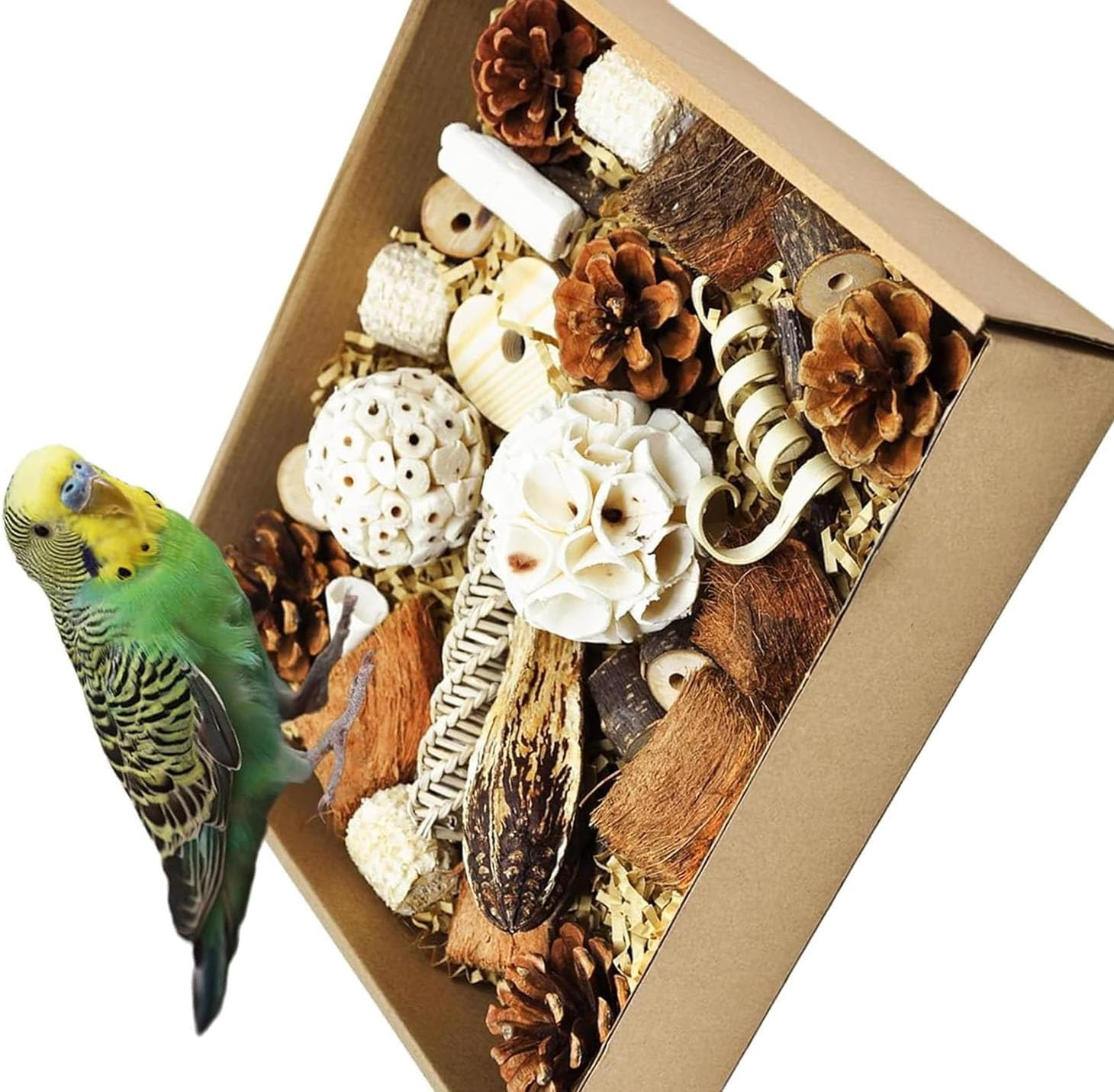 Limcryspp Natural Foraging and Biting Toy Box, an Interactive Biting Toy Suitable for Tiger Skin, Black Phoenix, Cone-Tailed, Peony Parrot and Small and Medium-Sized Birds image number 1