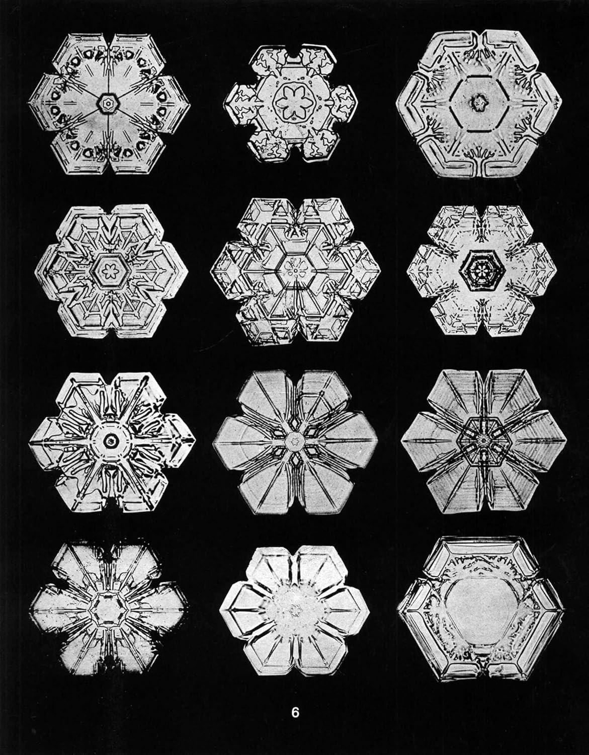Snowflakes in Photographs