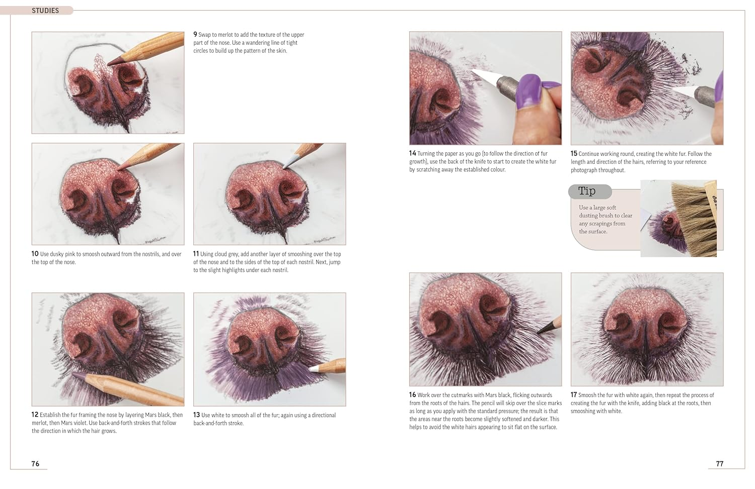 Drawing Animal Portraits in Coloured Pencil image number 5