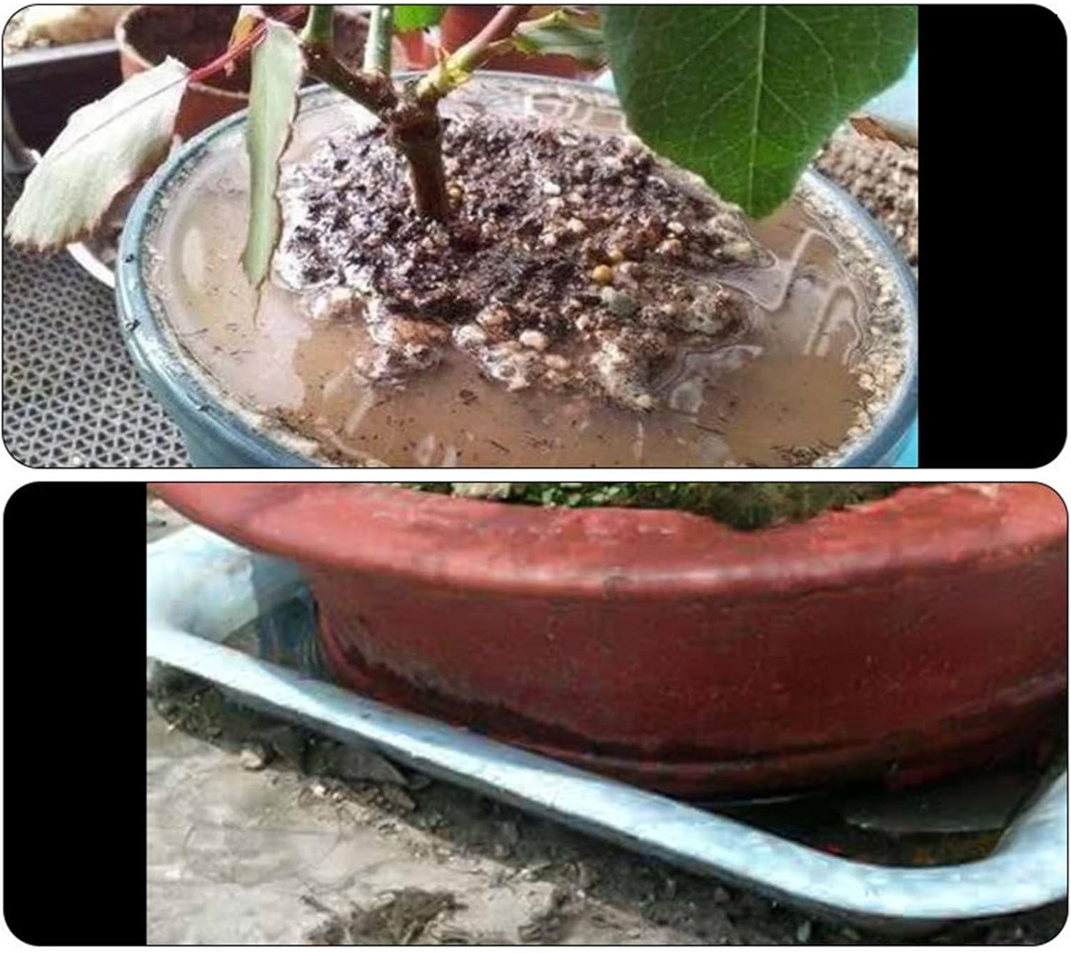 Perfk Large Pipettes Dropper Measuring Tube for Lab Experiment Supplies Scientific image number 6