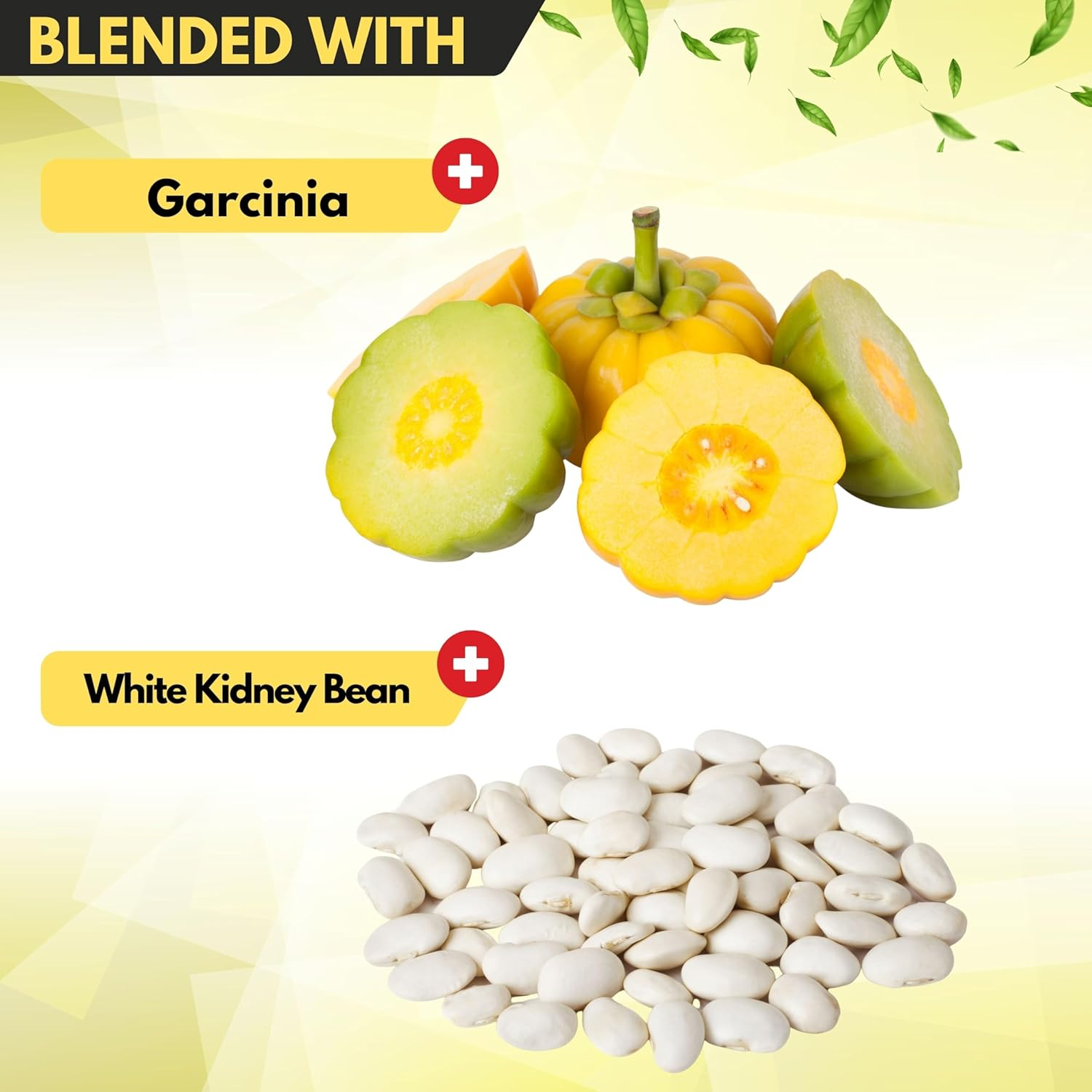 SATOOMI Green Tea Extract Supplement for Women & Men with Garcinia Cambogia, White Kidney Bean Blend - 120 Vegan Capsules for 2 Month Supply image number 4