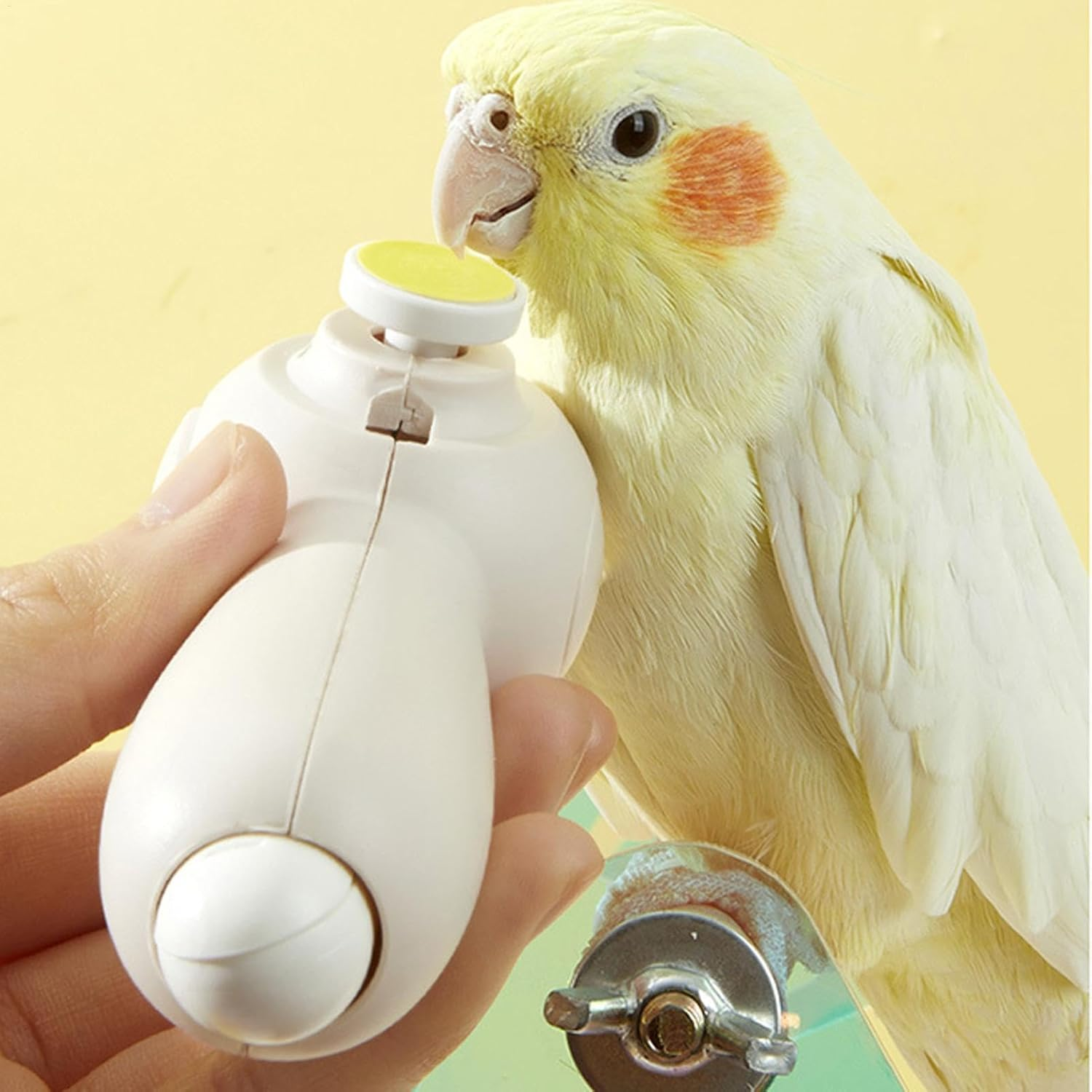 Bird Nail Grinder, Electric Parrot Beak Trimmer, Multi-Purpose Pet Grooming Tool, 6 Grinding Heads for Cockatiels, Hamsters, Small & Rodents and Many More image number 4