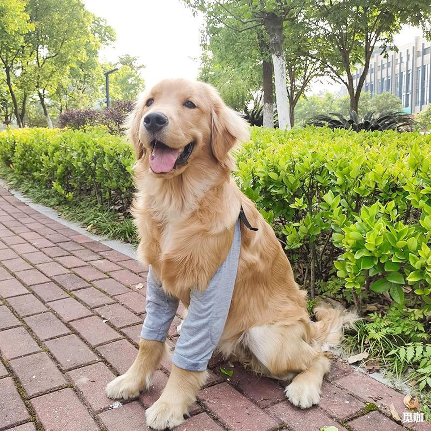 Dog Front Leg Braces Recovery Sleeve, Pet Dog Front Leg Hock Brace Elbow Protector, Pet Knee Brace Wounds for Medium Large Dogs (2XL, Grey) image number 5