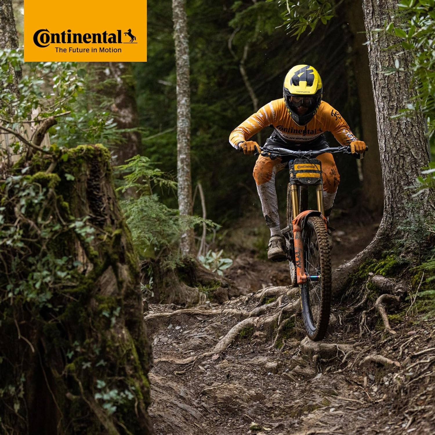 Continental Schrader Valve MTB 26 X 1.75-2.5 Inch 47/62-559 AV, 40 Mm image number 1