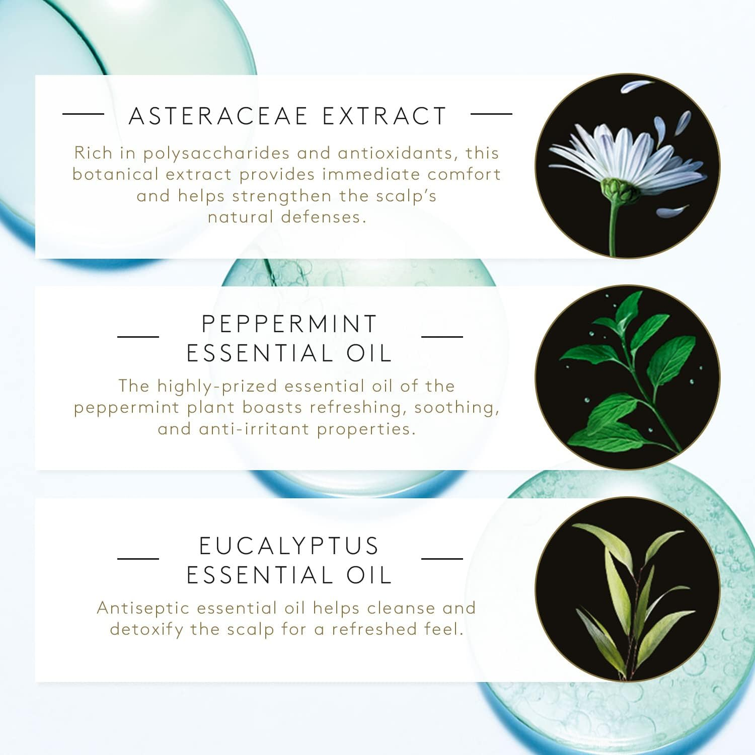 Rene Furterer Shampoo 1 Pack (1 X 200 Ml) image number 3