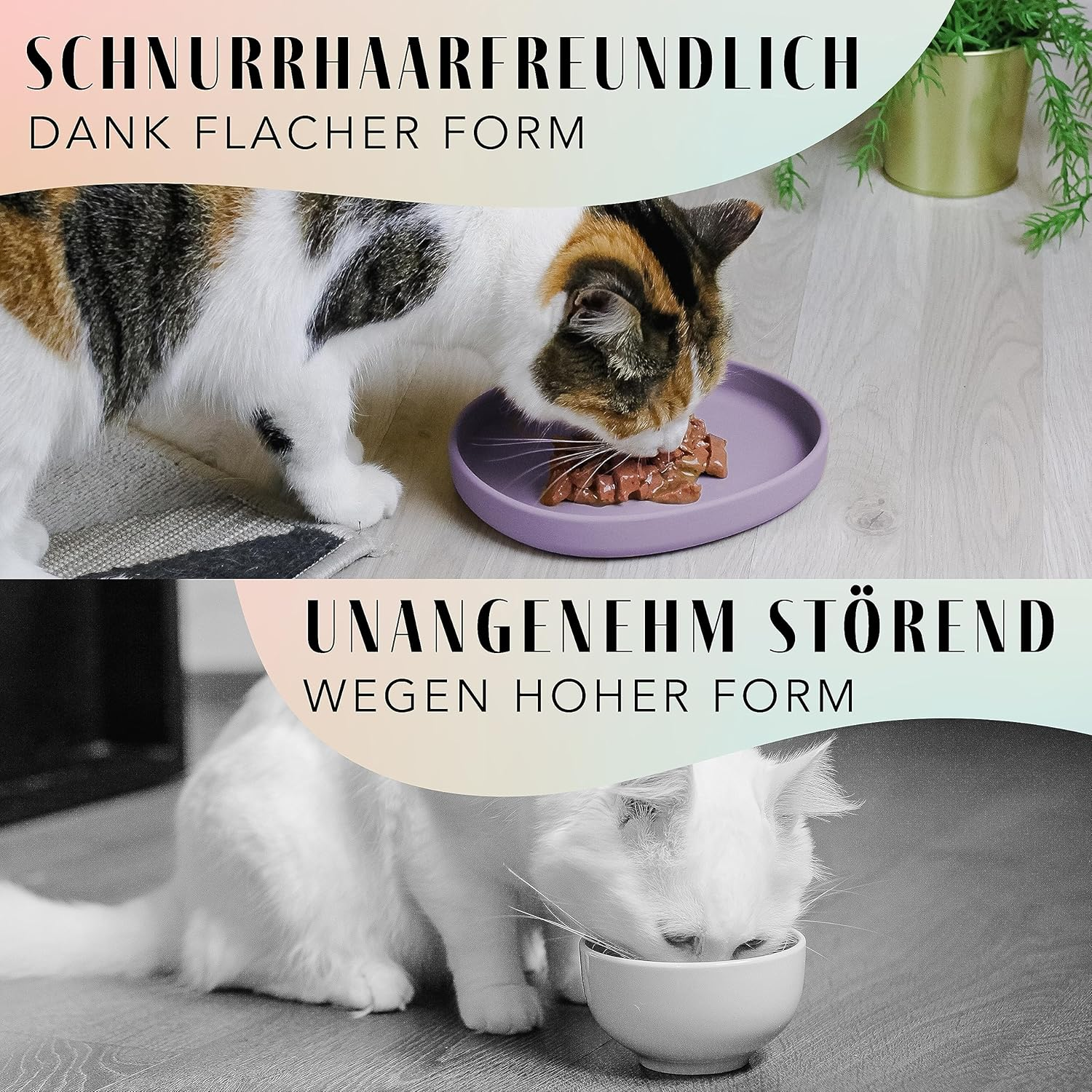 Ne&No Nala Collection Feeding Bowl for Cats Flat Cat Bowl Silicone Bowl Wide Feeding Bowl Cat Cat Bowl Silicone Bowl Cat Food Plate