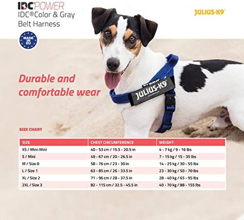 Julius-K9 IDC Color & Gray Belt Harness for Dogs, Size 1, Blue-Gray image number 2