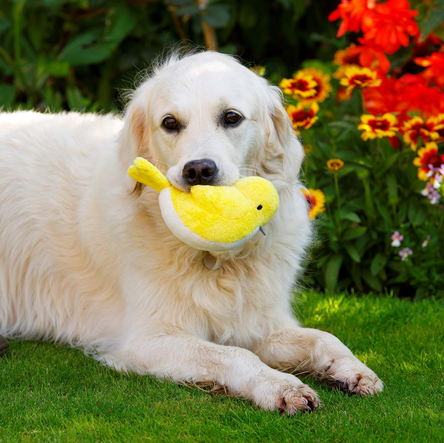 Petface Buddies Plush Little Bird Dog Toy image number 2