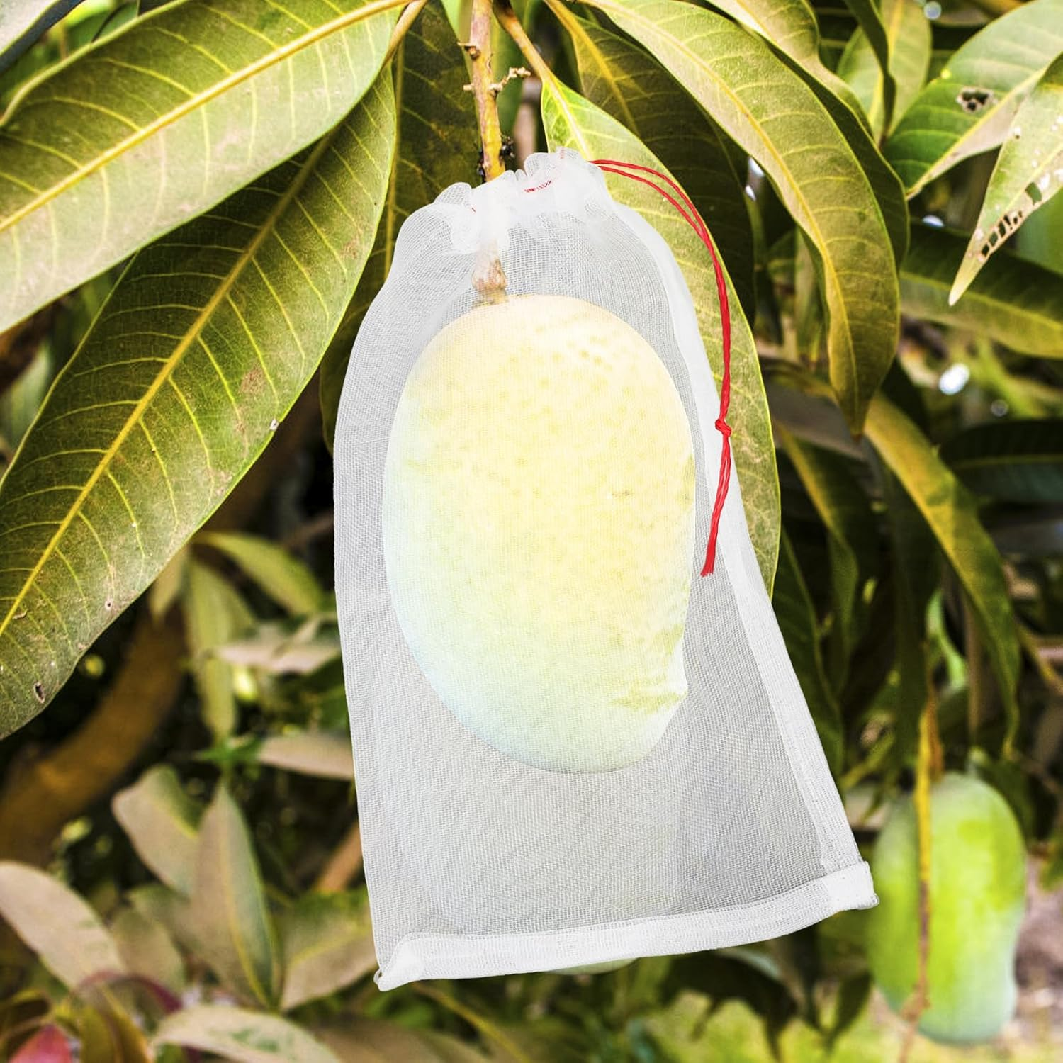 ENPOINT Fruit Bags for Fruit Trees, 100 PCS 6X10 Inch Fruit Protection Bags with Drawstring, Garden Netting Mesh Fruit Cover Bag for Grape, Tomato, Peach, Apple, Flower from Birds Bugs image number 3