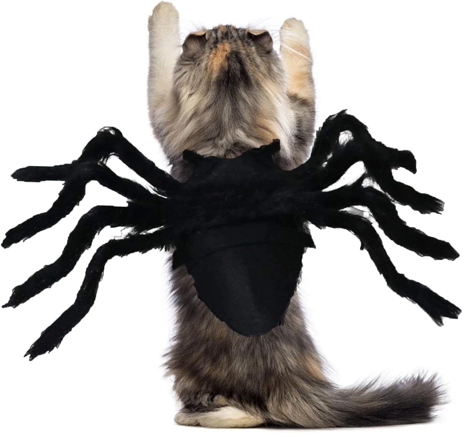 Cat Horror Spider Costume Spider Dog Clothing Decor Halloween Decoration Costume Dog Costume Cat Cat Dog Scary Costume Halloween Pet Costume for Party Christmas Halloween Black (M Size) image number 6