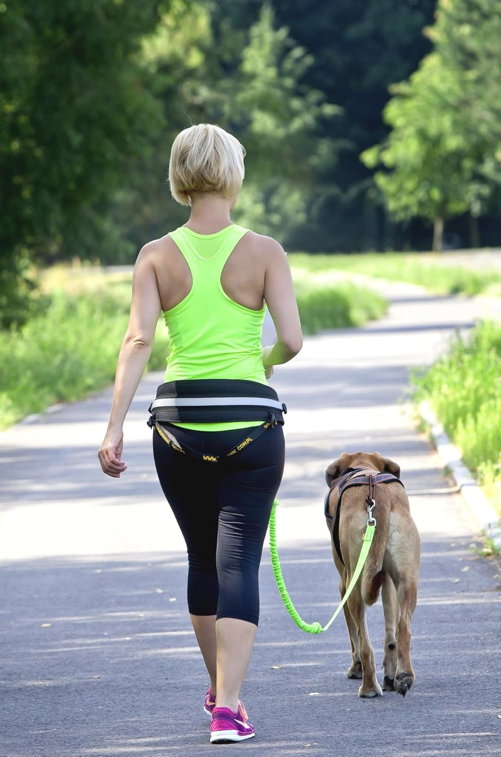 Dingo Universal Shock-Absorber Canicross Leash with 2 Hooks for Running, Jogging, Training Sport with Dog, Handsfree Lead Pink 14697 image number 5