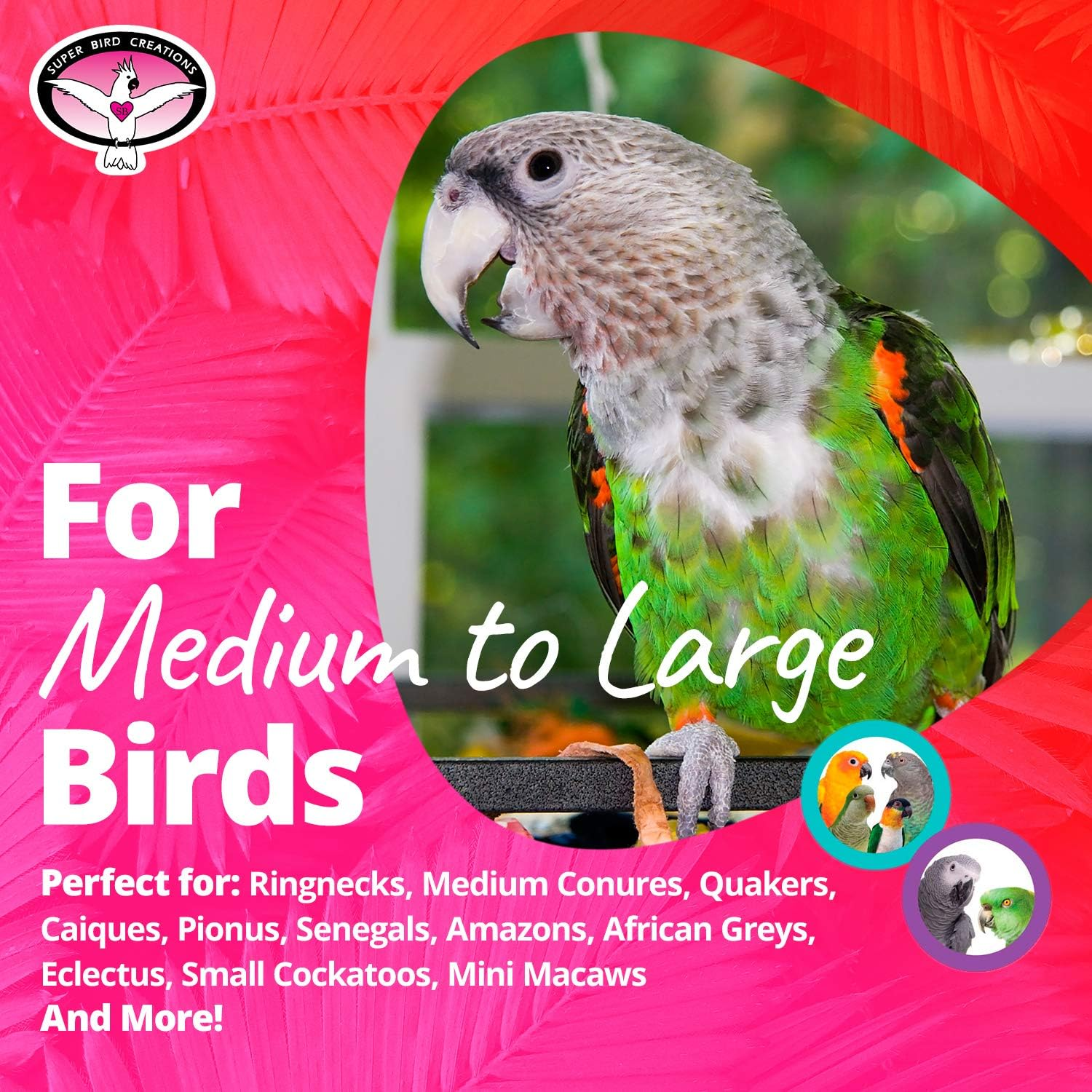 Super Bird Creations - SB301 Chewable Paper Party Bird Toy with Colorful Lollipop Sticks - Ringnecks Medium Conures Parrot - Chew Enthusiasts - Enriching Bird Toys for Medium to Large Birds - 1-Pack image number 6