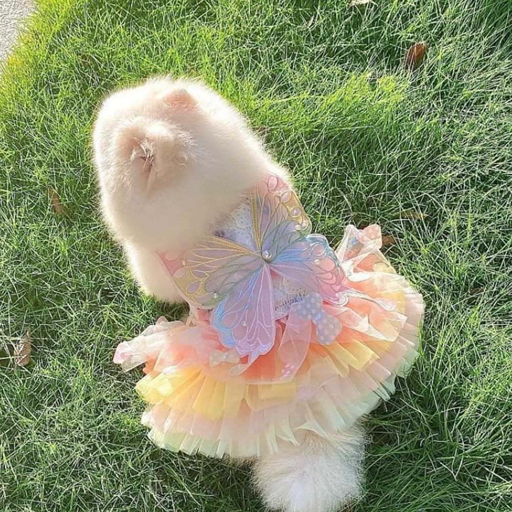 Rainbow Butterfly Dog Dresses for Small Dog Girl Puppy Lace Tutu Princess Dress Cat Outfit Pet Butterfly Costume for Kitten Chihuahua Yorkie Pomeranian (Pink, Small) image number 5