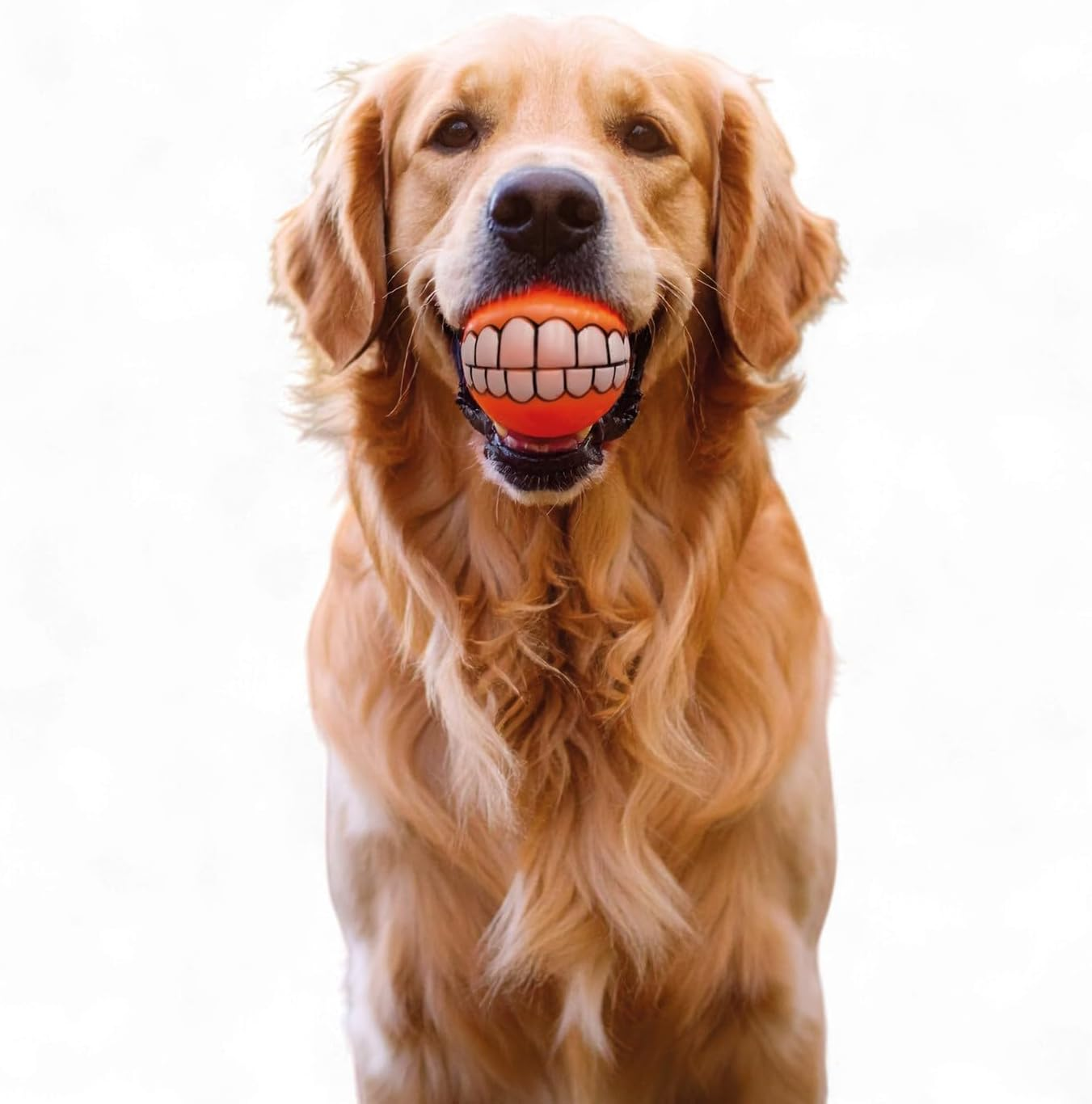 3 Pagen Dog Toys Set of 2 - Chew Toy for Dog 2 Pieces - Funny Pet Toy with Teeth & Squeaky Function - Smile Ball for Throwing & Fetch - Promotes Exercise & Chew Training