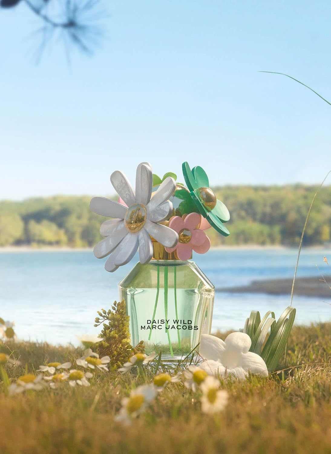 Marc Jacobs Women'S Jacobs Daisy Wild Eau De Perfum Spary, 100 Ml image number 6