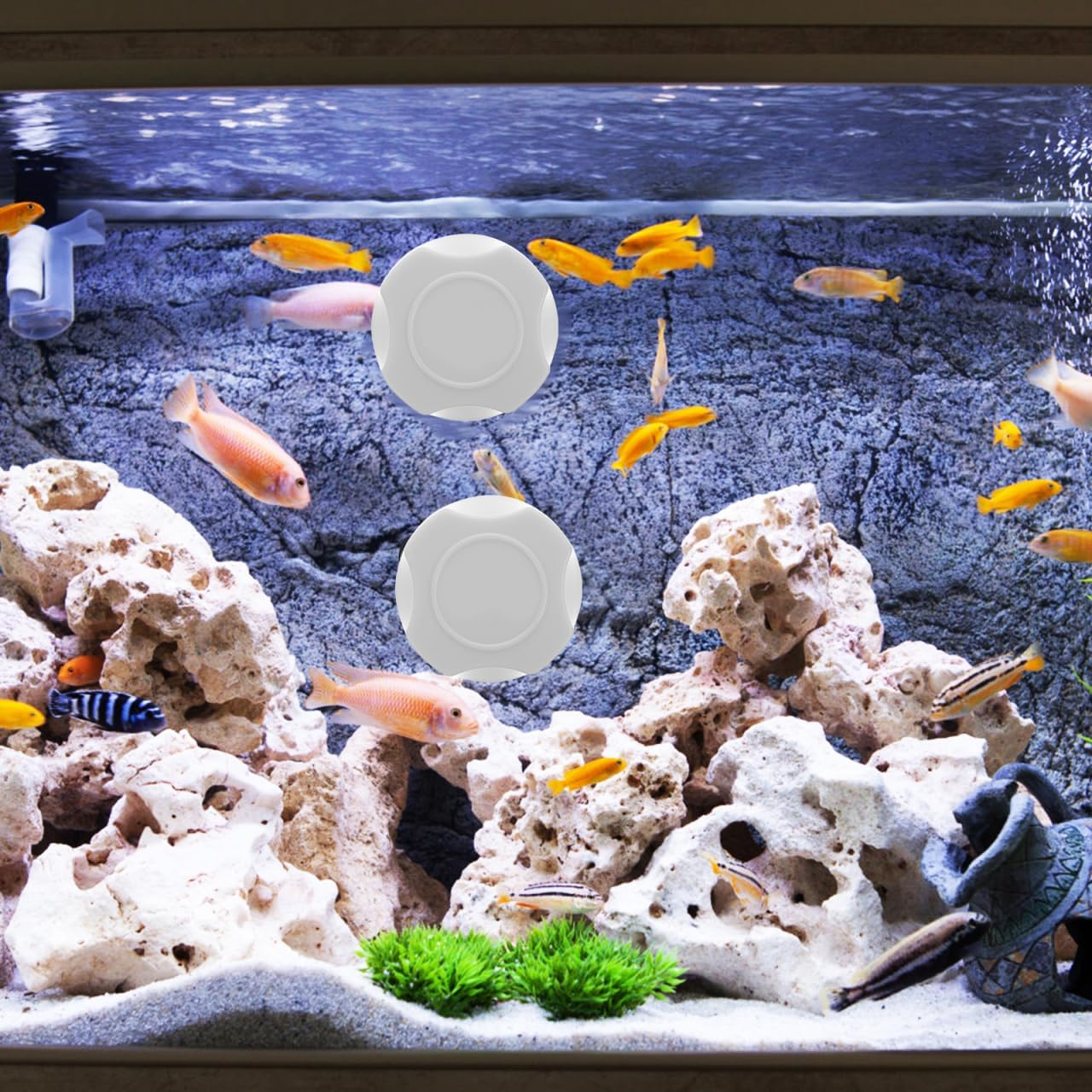 POPETPOP Mini Magnetic Fish Tank Brush Magnetic Aquarium Glass Cleaner Algae Scrapers Magnetic Brush Small Glass Tank Cleaner for Aquarium Fish Tank image number 3