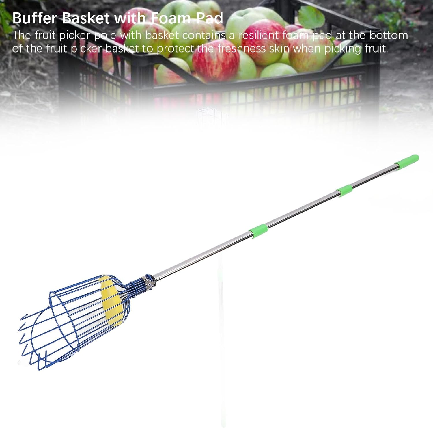 13.8Ft Fruit Picker, Adjustable Fruit Picker Pole with Basket, Stainless Steel Telescoping Fruit Grabber, Lightweight Fruit Catcher for Pear, Lemon, Orange, Mango, Avocados image number 6