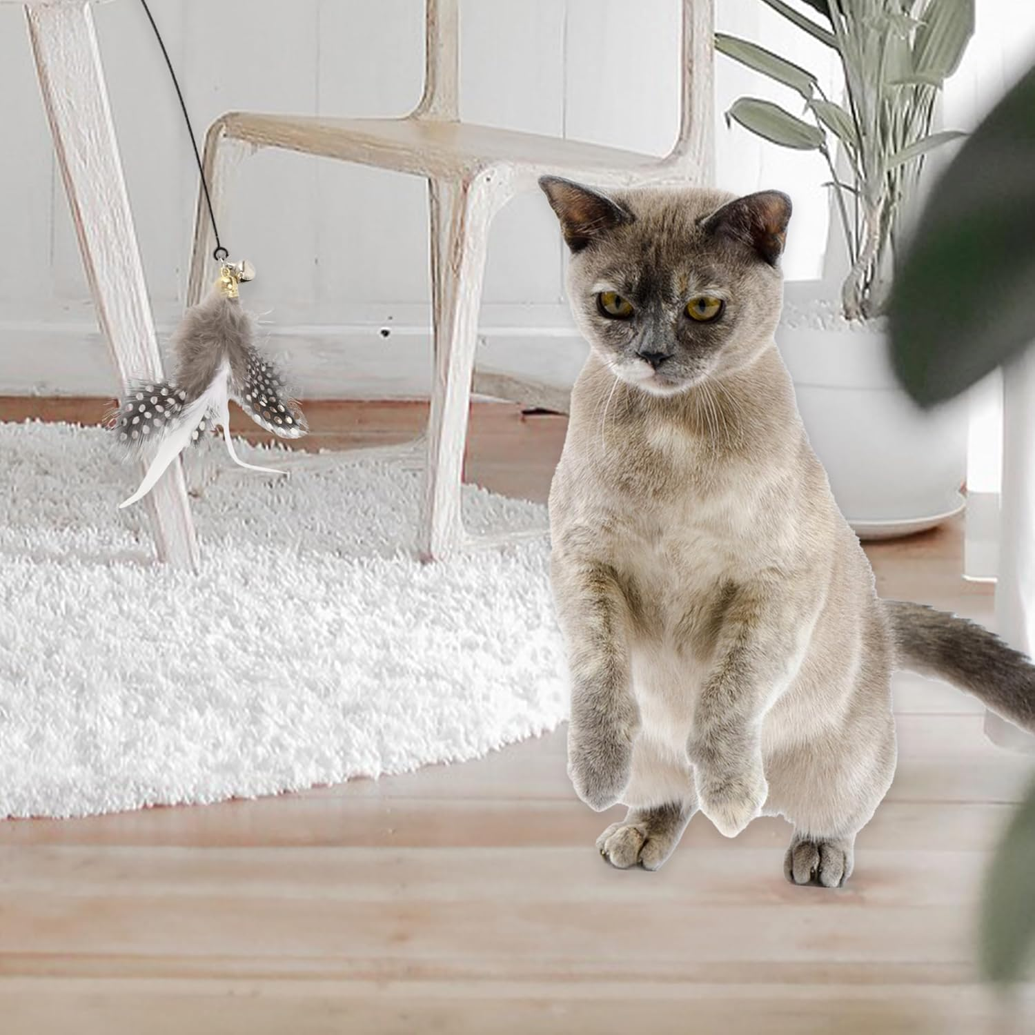 CAPASTEC Pack of 2 Feather Cat Wand Replacement for Pet Interactive, Black/White image number 6