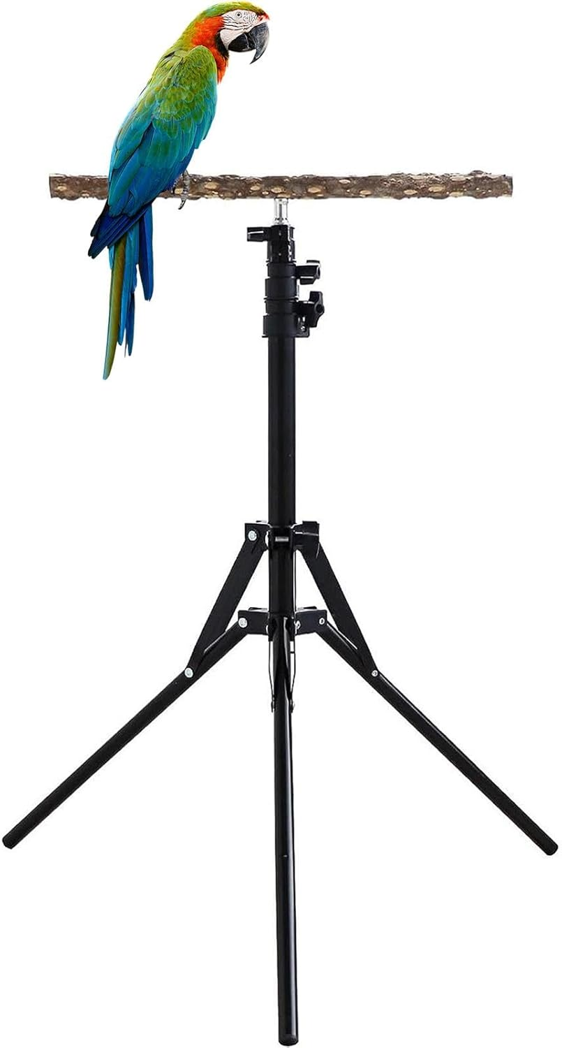 Parrot Stand for Large Birds - Adjustable Bird Gym & Activity Center image number 1