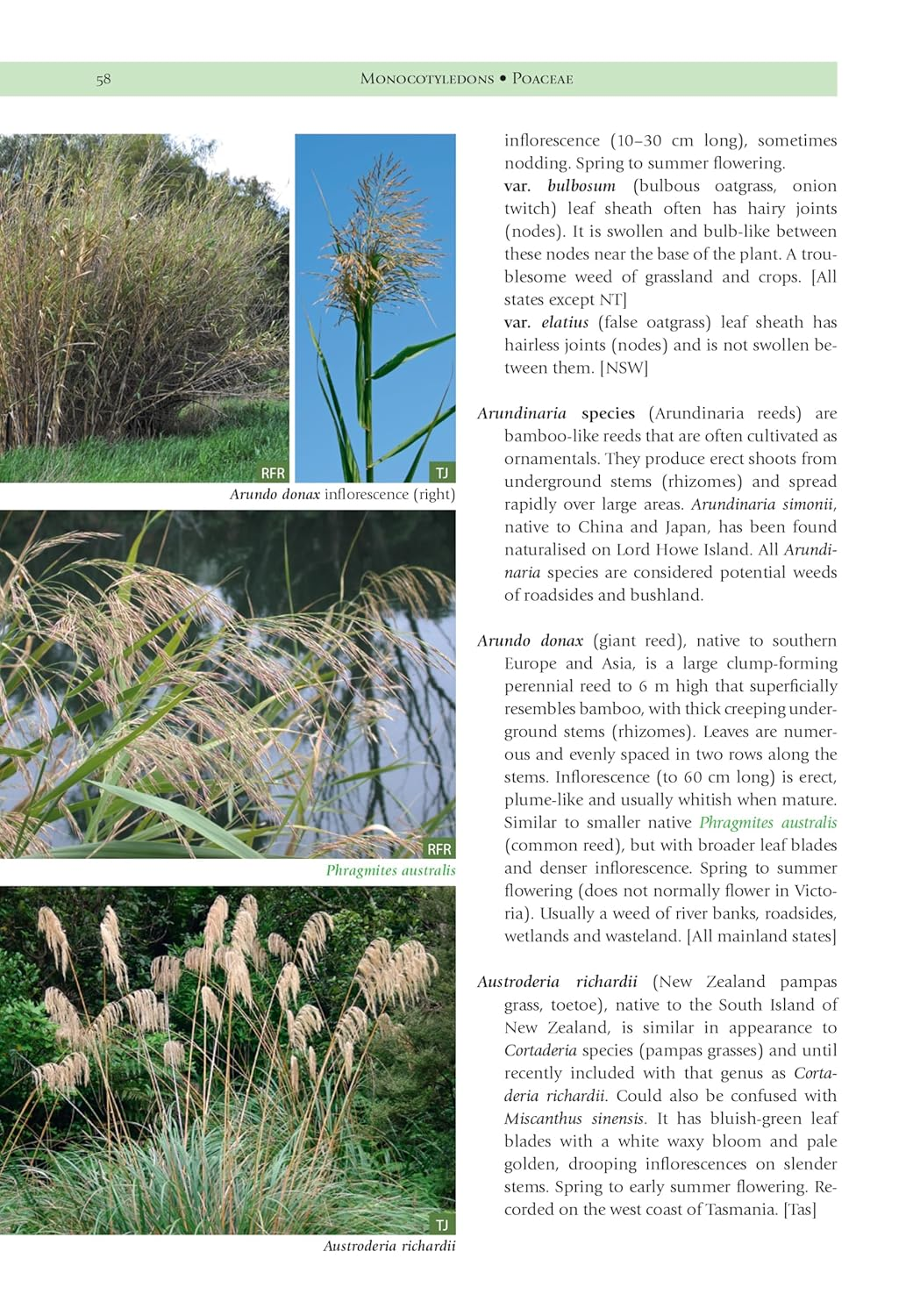Weeds of the South-East: an Identification Guide for Australia