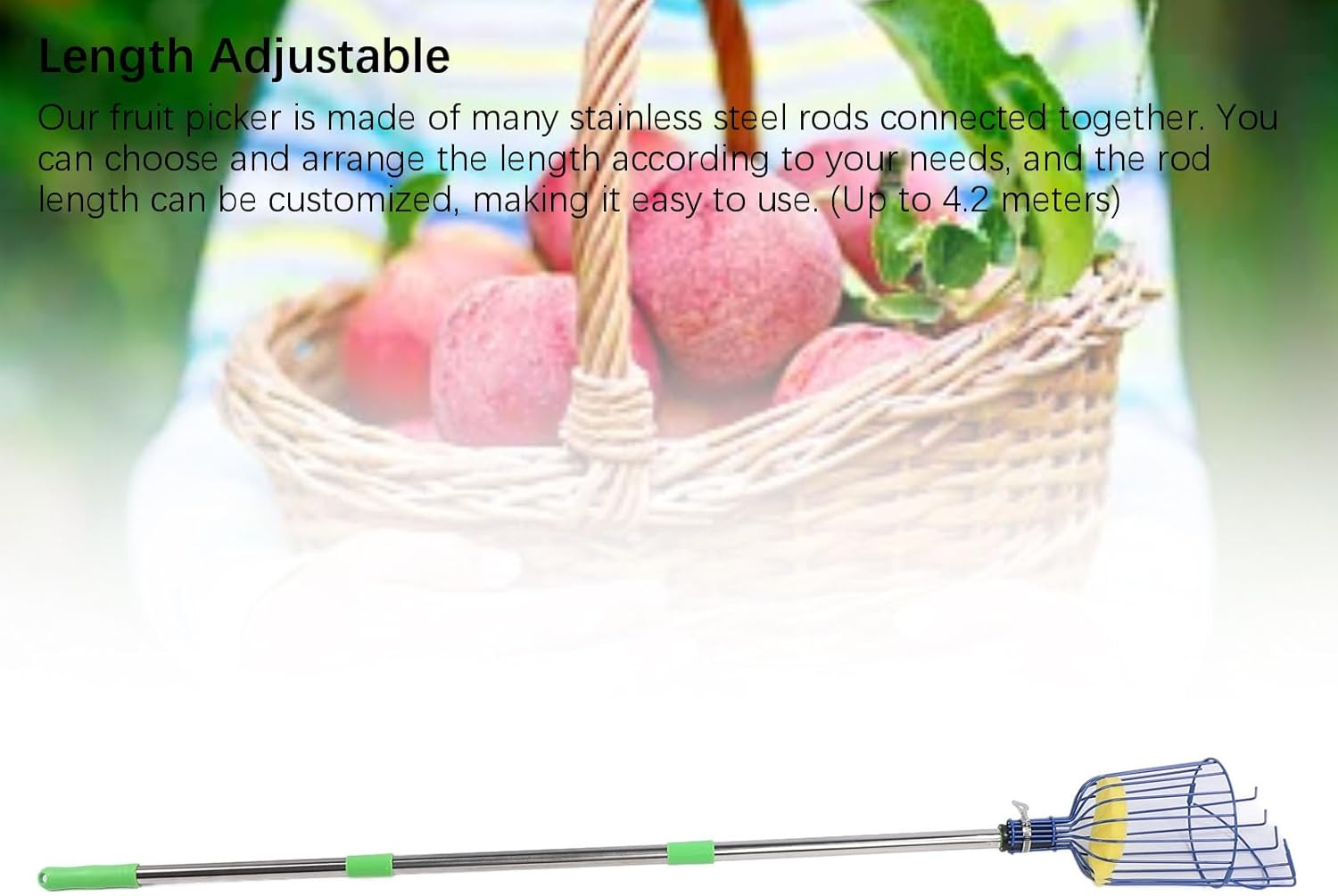 13.8Ft Fruit Picker, Adjustable Fruit Picker Pole with Basket, Stainless Steel Telescoping Fruit Grabber, Lightweight Fruit Catcher for Pear, Lemon, Orange, Mango, Avocados image number 1
