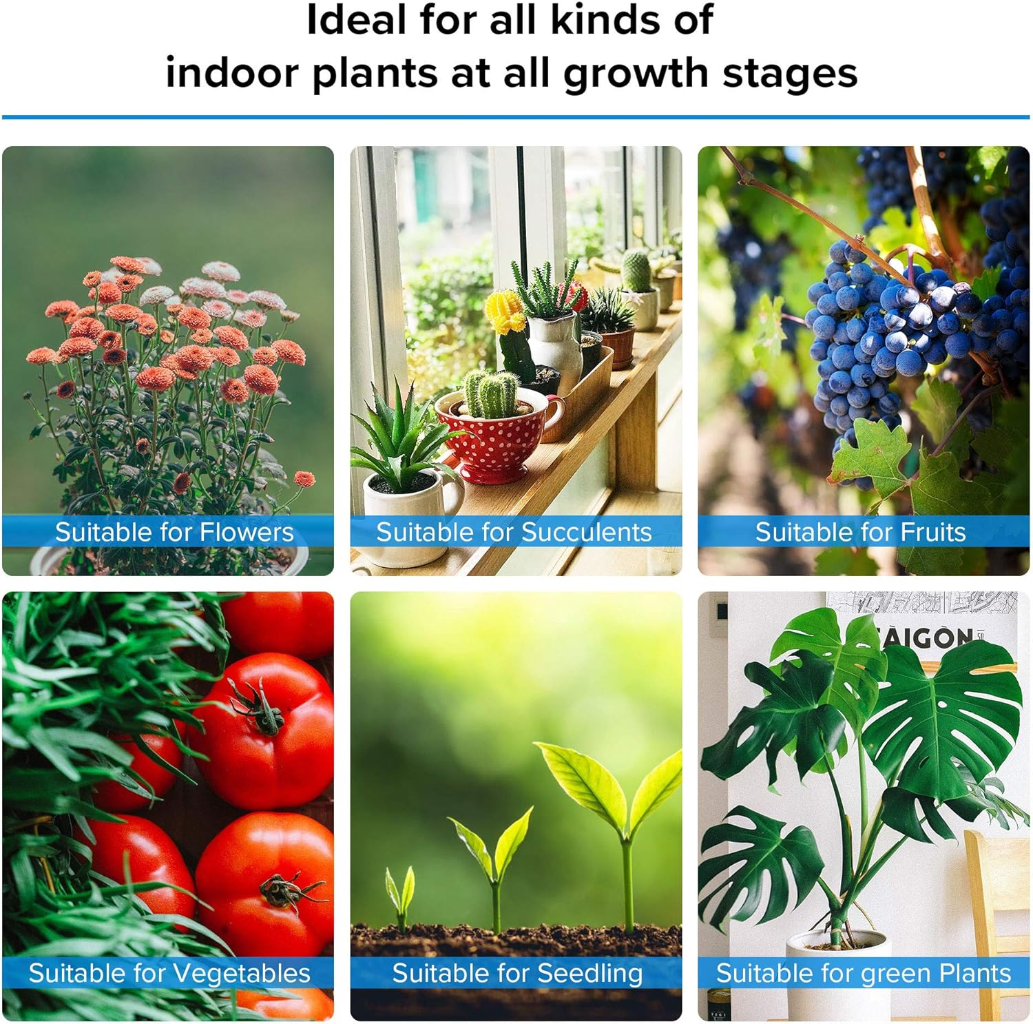 SANSI 60 W Plant Lamp LED Full Spectrum High PPFD (600 Watt Equivalent), Hook Foldable IP65 Grow Light, for Indoor Plants, Hydroponics, Succulents, Seedlings, Vegetables, Flower Garden 220 V image number 5