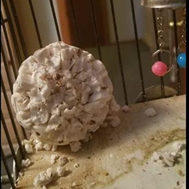 3 Pieces Bird Toys Natural Sola Balls Soft Chew Shred Foraging Toy for Parrot Parrotlet Finch Macaw 6Cm/2.36In Sola Ball Bird Toy